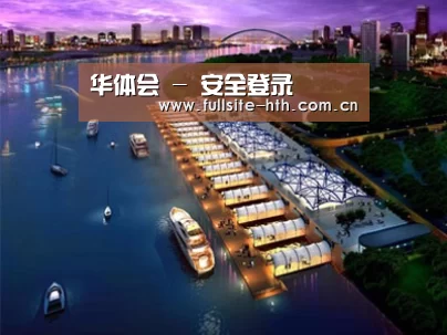 案例展示八
