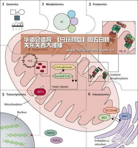 华体会体育_【只玩初盘】周五日联 关东关西大碰撞
