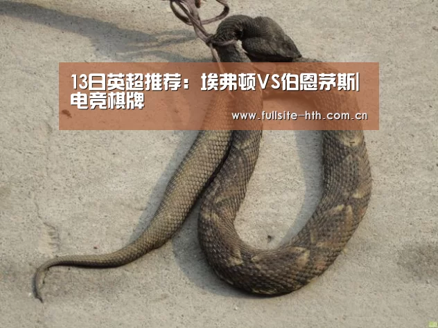 华体会体育